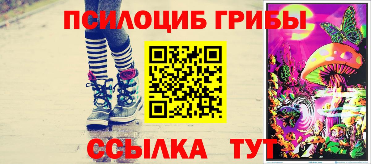 Георгиевск  Псилоцибиновые грибы мухоморы  Вход с VPN 